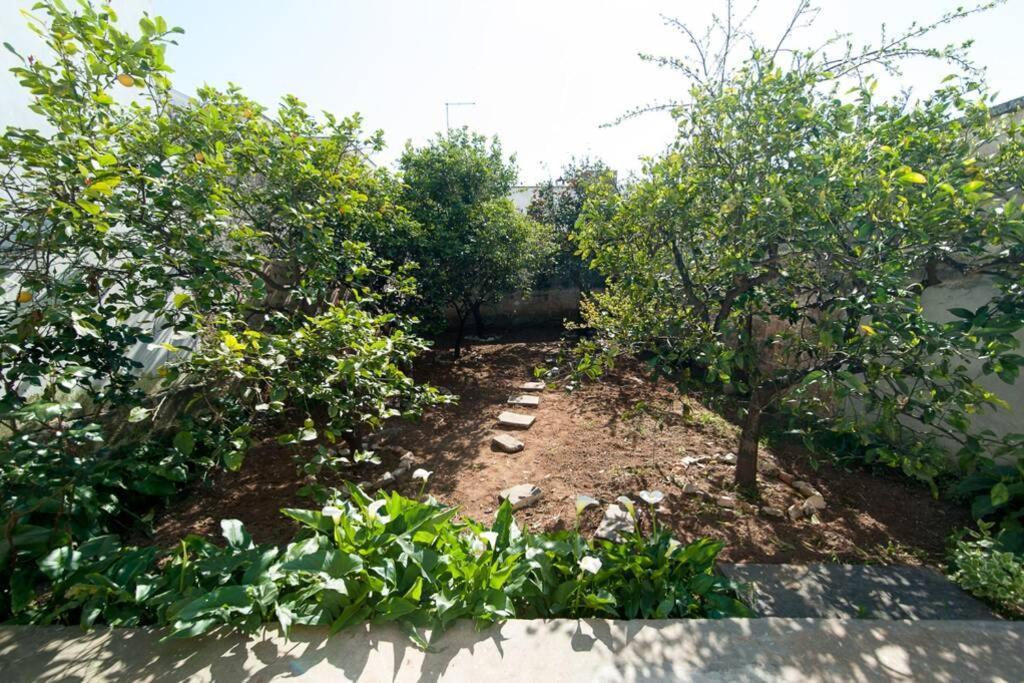 Casa Vacanza Zia Nunziatina Villa โกแปร์ติโน ภายนอก รูปภาพ